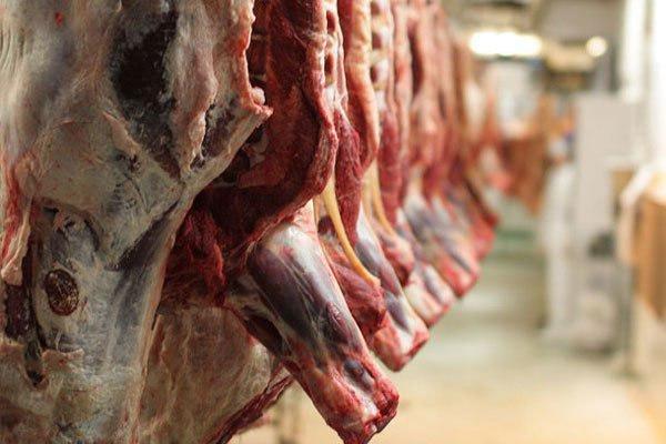 علل افزایش قیمت گوشت در چهار محال و بختیاری تشریح شد