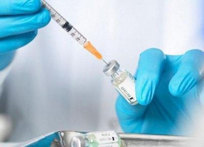 خبر خوش درباره تولید پادتن اختصاصی ضد ویروس کرونا در کشور