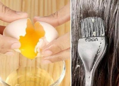 تاثیر فوق العاده اجزای تخم مرغ بر سلامت مو