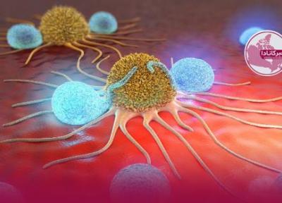 کشف تازه دانشمندان برای مقابله با تومورهای سرطانی